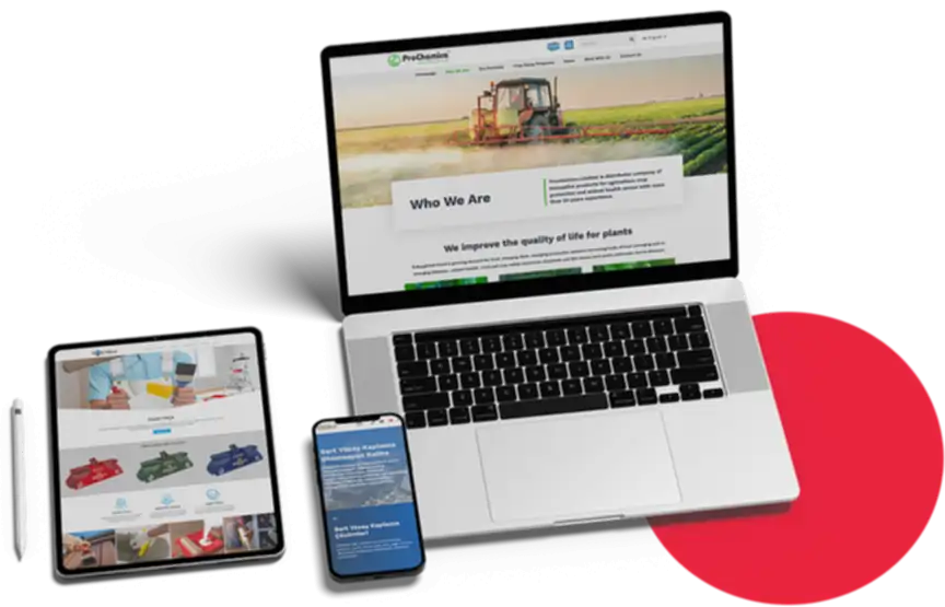 Bakı freelance web tasarım wordpress uzmanı tamamlanan web siteler