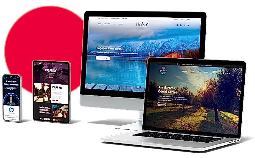 izmir freelance web tasarım wordpress uzmanı