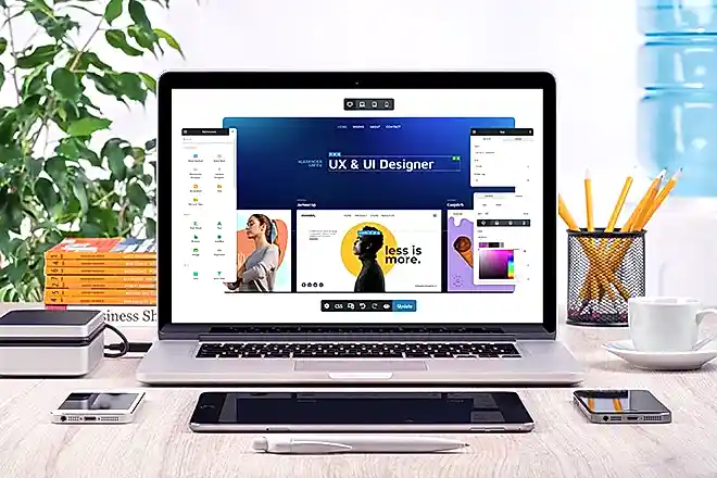 wordpress uzmanı nedir nasıl olmalıdır