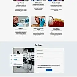 kuşadası dental web tasarım çalışması