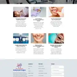 kuşadası dental web tasarım çalışması